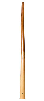 Wix Stix Didgeridoo (WS353)